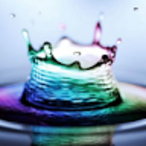 Meet your Posher, Sophia